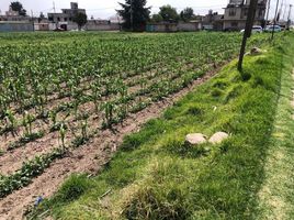  Grundstück zu verkaufen in Almoloya De Juarez, Mexico, Almoloya De Juarez