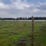  Terreno (Parcela) en venta en Maule, Longavi, Linares, Maule