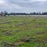  Terreno (Parcela) en venta en Maule, Longavi, Linares, Maule