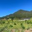  Terreno (Parcela) en venta en Maule, Curico, Curicó, Maule