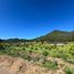  Terreno (Parcela) en venta en Maule, Curico, Curicó, Maule