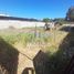  Terreno (Parcela) en venta en Chile, Quintero, Valparaíso, Valparaíso, Chile