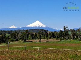  Land for sale in Chile, Puerto Varas, Llanquihue, Los Lagos, Chile
