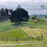 Land for sale in Chile, Puerto Varas, Llanquihue, Los Lagos, Chile