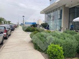 0 m² Office for rent in Chile, Viña del Mar, Valparaíso, Valparaíso, Chile