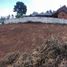  Terreno (Parcela) en venta en Concepción, Biobío, Talcahuano, Concepción