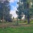  Land for sale in General Pueyrredon, Buenos Aires, General Pueyrredon