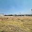  Land for rent in Zapopan, Jalisco, Zapopan