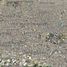 Terrain à vendre à Guadalajara, Jalisco, Guadalajara