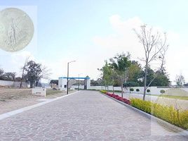  Grundstück zu verkaufen in Tequisquiapan, Queretaro, Tequisquiapan