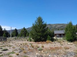  Land for sale in Neuquen, Huiliches, Neuquen