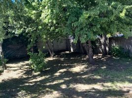  Land for sale in Neuquen, Lacar, Neuquen