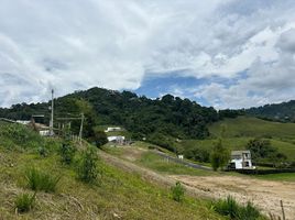 Land for sale in Santa Rosa De Cabal Risaralda, Santa Rosa De Cabal