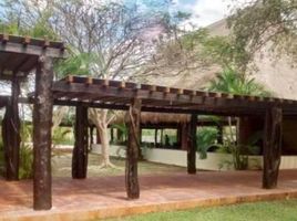  Land for sale in Conkal, Yucatan, Conkal