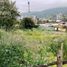  Terreno (Parcela) en venta en Chile, Quilpue, Valparaíso, Valparaíso, Chile