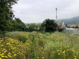  Terreno (Parcela) en venta en Chile, Quilpue, Valparaíso, Valparaíso, Chile