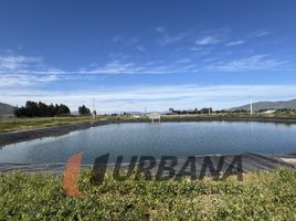  Terreno (Parcela) en venta en Chile, Coquimbo, Elqui, Coquimbo, Chile