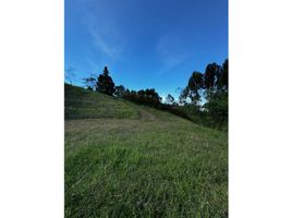  Land for sale in La Ceja, Antioquia, La Ceja, Antioquia