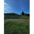  Land for sale in La Ceja, Antioquia, La Ceja, Antioquia