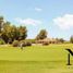  Land for sale in San Vicente, Buenos Aires, San Vicente