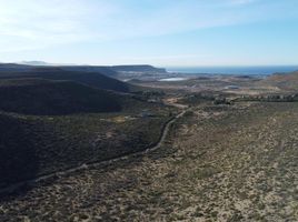  Grundstück zu verkaufen in Escalante, Chubut, Escalante