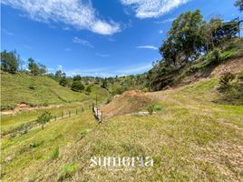  Land for sale in Guatape, Antioquia, Guatape