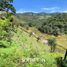  Land for sale in Guatape, Antioquia, Guatape