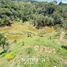  Land for sale in Guatape, Antioquia, Guatape