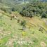  Land for sale in Guatape, Antioquia, Guatape