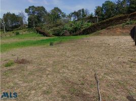  Land for sale in El Carmen De Viboral, Antioquia, El Carmen De Viboral