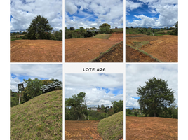  Land for sale in Marinilla, Antioquia, Marinilla