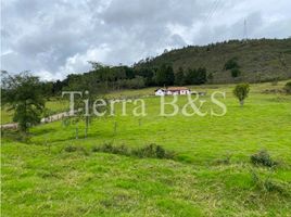 3 Habitación Casa en venta en Villa De Leyva, Boyaca, Villa De Leyva