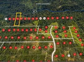  Terreno (Parcela) en venta en Chile, Ancud, Chiloé, Los Lagos, Chile