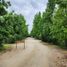  Land for sale in Chile, Requinao, Cachapoal, Libertador General Bernardo Ohiggins, Chile