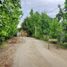  Land for sale in Chile, Requinao, Cachapoal, Libertador General Bernardo Ohiggins, Chile