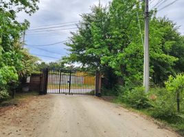  Land for sale in Chile, Requinao, Cachapoal, Libertador General Bernardo Ohiggins, Chile