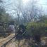  Land for sale in Brandsen, Buenos Aires, Brandsen