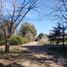  Land for sale in Brandsen, Buenos Aires, Brandsen