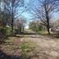  Land for sale in Brandsen, Buenos Aires, Brandsen