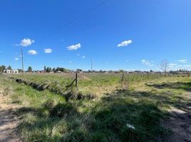  Terreno (Parcela) en venta en Tapalque, Buenos Aires, Tapalque