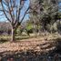  Land for sale in Rio Negro, Bariloche, Rio Negro