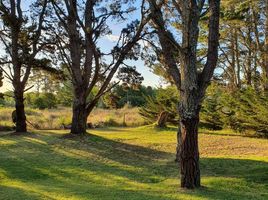  Terrain for sale in La Costa, Buenos Aires, La Costa