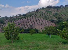 Studio Villa for sale in Colombia, Toro, Valle Del Cauca, Colombia