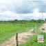  Land for sale in San Zenon, Magdalena, San Zenon