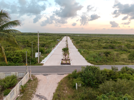  Grundstück zu verkaufen in Telchac Puerto, Yucatan, Telchac Puerto, Yucatan