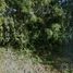  Land for sale in Uayma, Yucatan, Uayma