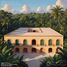  Land for sale in Uayma, Yucatan, Uayma