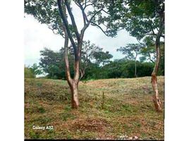  Land for sale in Penonome, Cocle, El Coco, Penonome