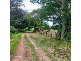  Land for sale in Penonome, Cocle, El Coco, Penonome