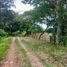  Land for sale in Penonome, Cocle, El Coco, Penonome